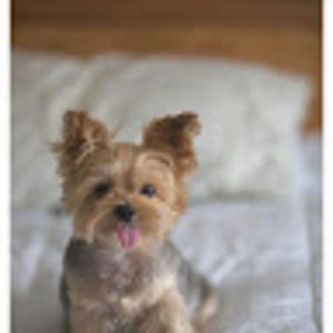 Meet your Posher, Marina